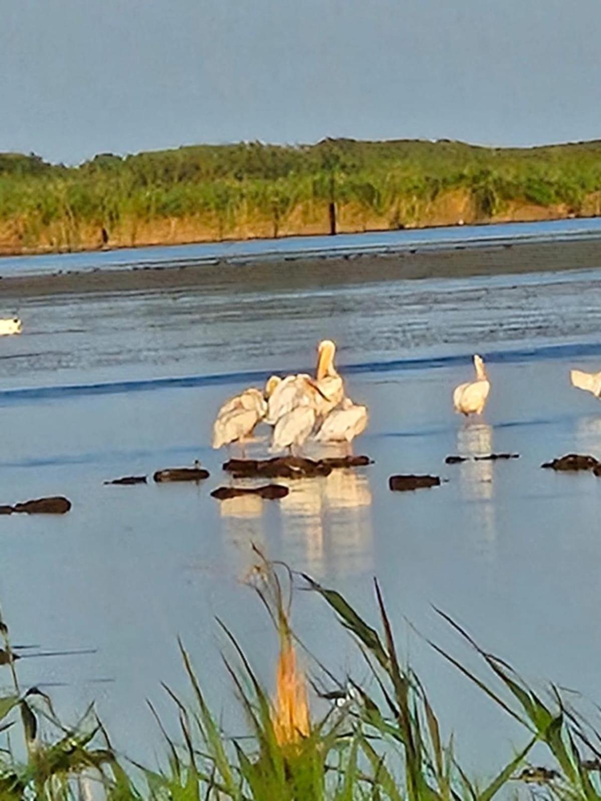 Pensiunea Alicia Jurilovca Exteriér fotografie